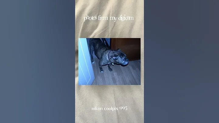 one of my favourite digicams 📷 #camcorder #aesthetic #digitalcamera #nostalgia #shorts