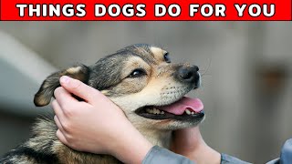 9 Surprising Things Your Dog Do for You Without You Realizing