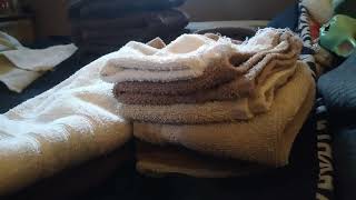 How to Save Money on Your Cedar Point Trip(and tips)$$$Laundry Chit Chat(see description for more)