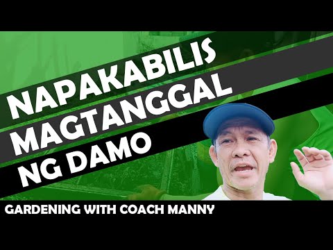 paano mapapabilis ang pagtanggal ng damo sa garden