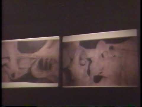 Gisue Hariri & Diana Agrest (March 27, 1991)