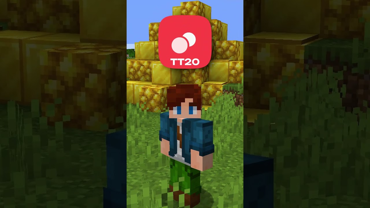 TT20 - Мод, что СПАСЕТ ваш Сервер! 