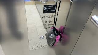 넬슨신 애니메이션아트박물관 영상