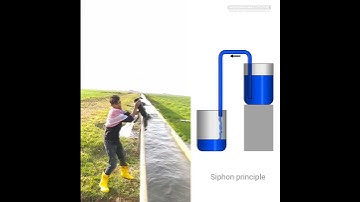 Unique Farming technique | Siphon for irrigation | Using Siphon principle