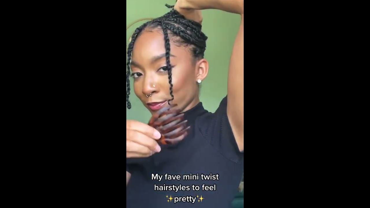 Hairstyles For Mini Twists Braids On Natural Hair 