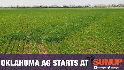 Do you know what Phosphorus means to your soil? (10/14/17)