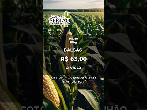COTAÇÕES DOS GRÃOS MARANHÃO 17/05/2026 #cotação #milho #soja