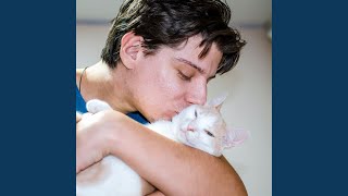 Melodic Rain for Feline Bonding