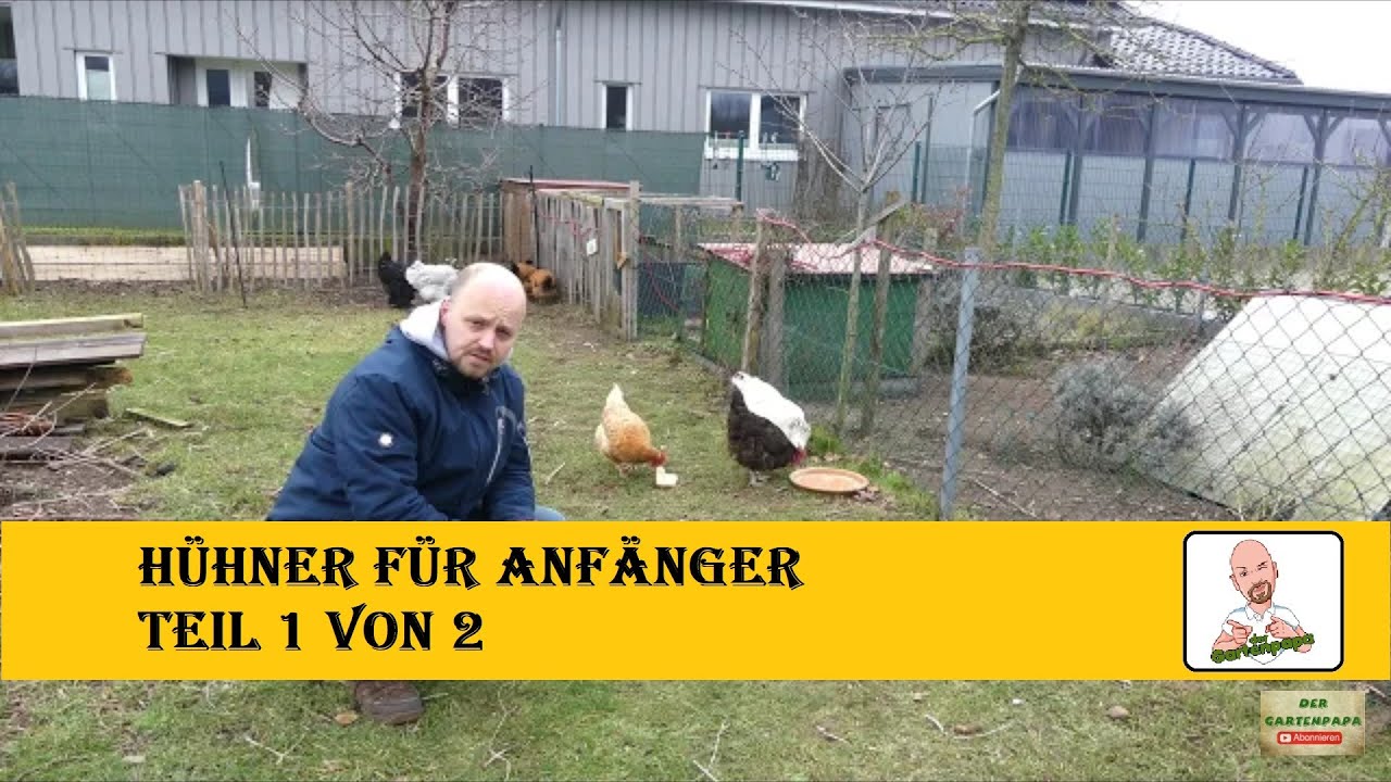 Hühner für Anfänger Teil 1 von 2 - YouTube
