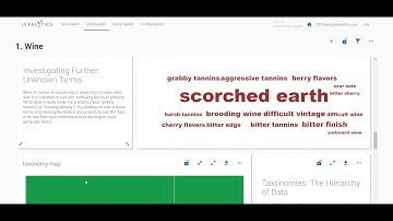 Semantria Storage and Visualization Demo Overview