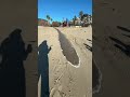 🫨🫨 oh my GOD! ..... #sea #miniature #vlog #facts #explore #technology #funny #viralshort
