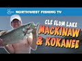Cle Elum Lake Mackinaw and Kokanee