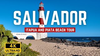 Salvador Bahia 🇧🇷 Itapua and Piata Walking Tour | Brazil 🌴🏖️