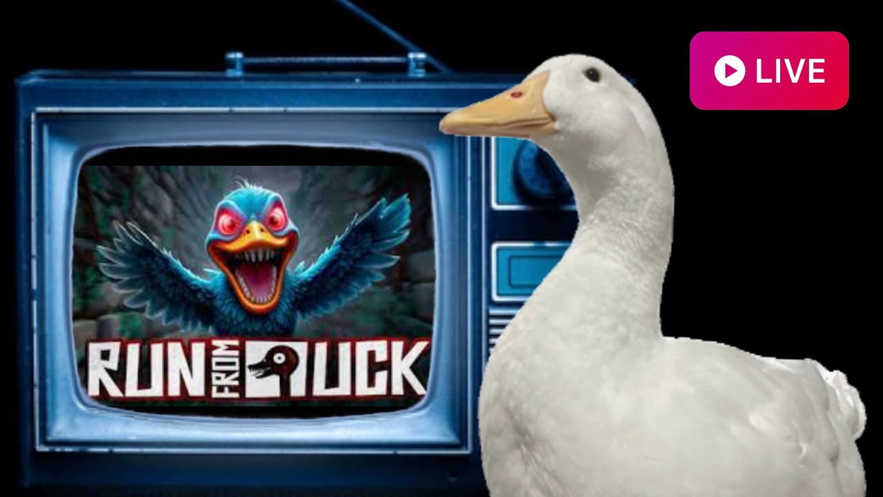 Run From Duck - Live Gameplay (but im a duck) - YouTube