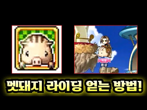 [메이플랜드] 멧돼지 라이딩 퀘스트 2분 공략