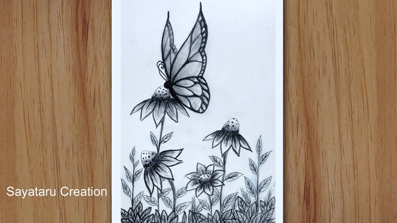 How to Draw a Butterfly on Flower step by step, Pencil Drawing for ...