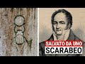 Pierre Latreille: l’entomologo salvato da uno SCARABEO