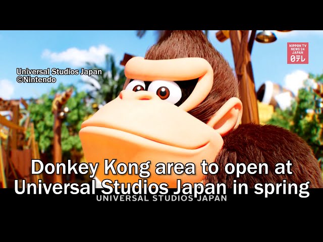 Donkey Kong - Kyoto Report