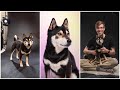 Photoshoot with my Dog at Home - Behind the Scenes &amp; Photos