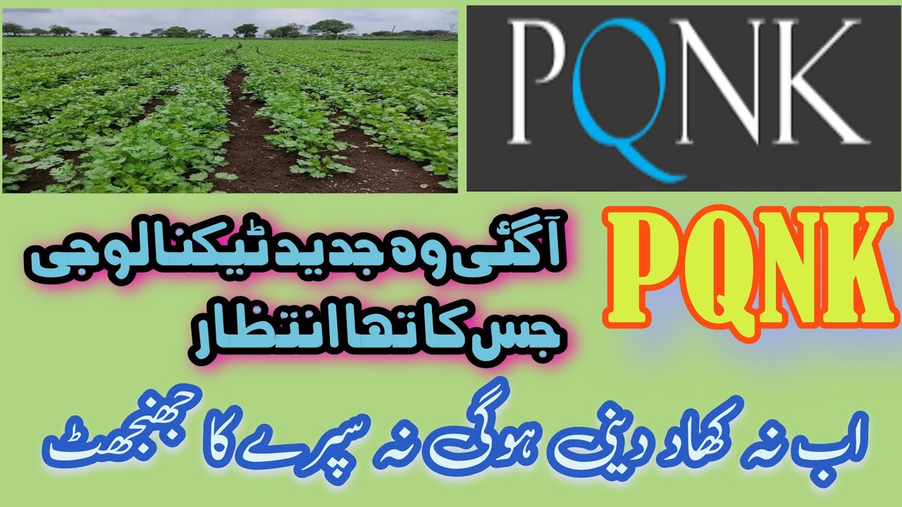 What is PQNK | PQNK Techniques | PQNK Scopes | 