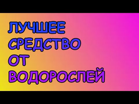 ЛУЧШЕЕ СРЕДСТВО ОТ ВОДОРОСЛЕЙ