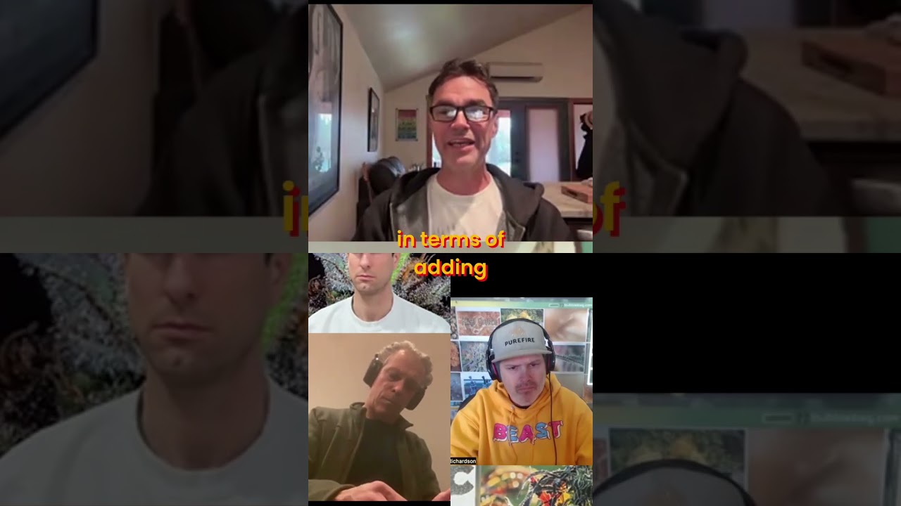 Терпинолен против афганского: раскрытие секретов терпенов каннабиса