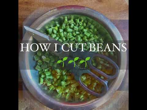 How I cut beans - YouTube