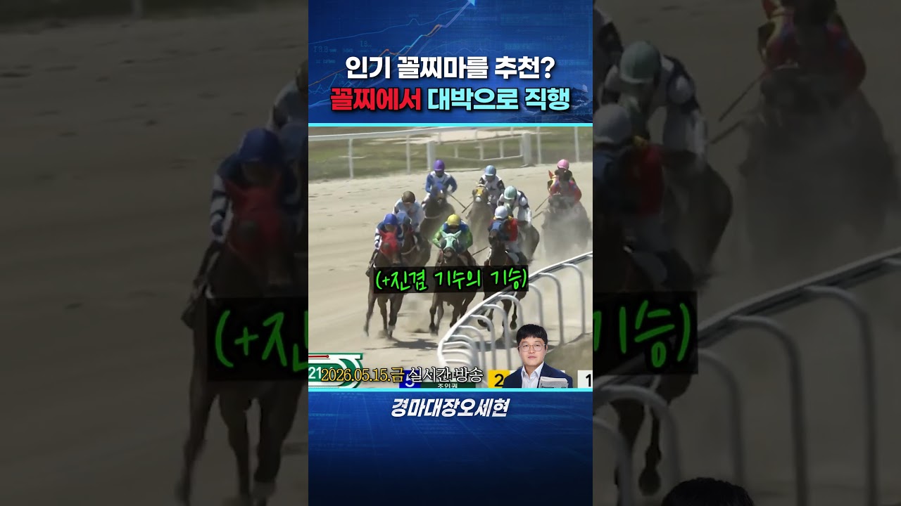 인기꼴찌마를 고르는 패기
