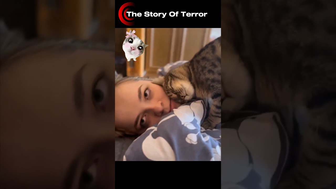 The best Alarm 😺😹