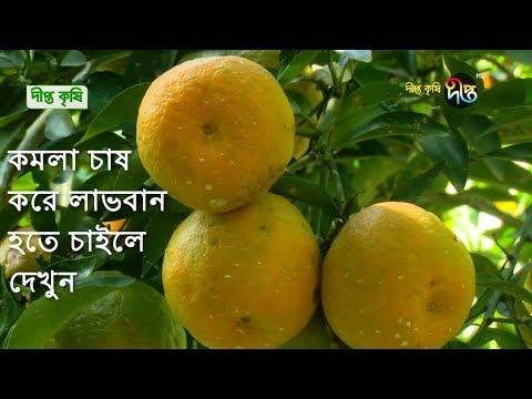 ভিডিও: কীভাবে কমলা রাশিয়ায় হাজির