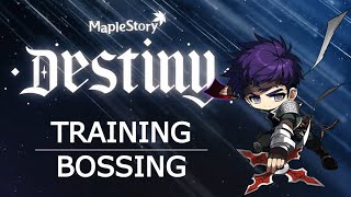 MapleStory: Night Lord Bossing & Training Guide screenshot 5