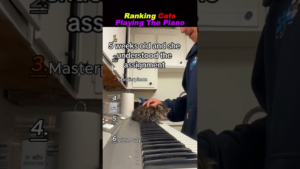 DONT CHECK THE SOUND 