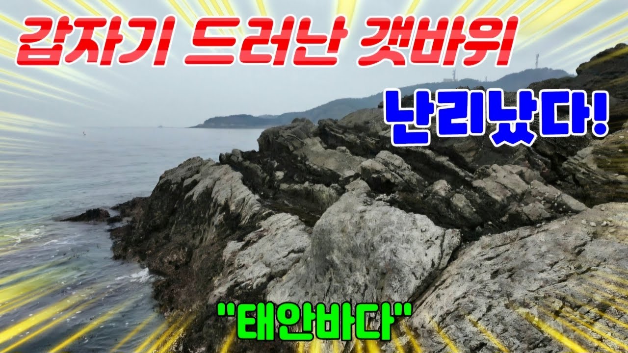 순식간에 쓰나미 지나간 듯 휩쓸려간 썰물에 비밀 가득한 바닷속 갯바위 틈 온갖 해산물