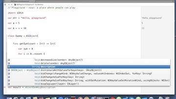 iOS Swift plyaground playing with class | Nimap Infotech - Tutorial 116
