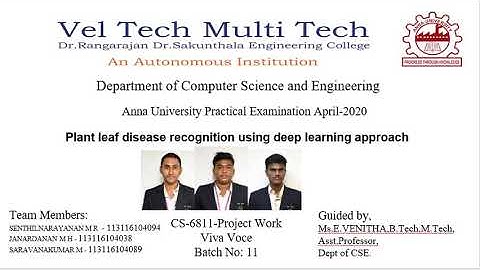 Plant Leaf Disease Recognition Using Deep Learning Approach