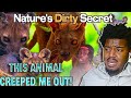 The Secret Animal Hiding in Madagascar! Casual Geographic | REACTION
