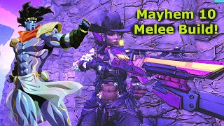 Star Platinum Amara! Super Fun Mayhem 10 Melee Build! | Actually Kills M10 Enemies With Melee Damage