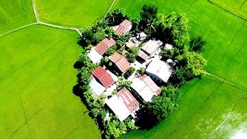 Những ngôi làng Ốc Đảo giữa ruộng lúa tuyệt đẹp - Tri Tôn, An Giang 18/9/2017