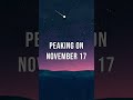 Leonids Meteor Shower Peaks On November 17.. DON'T FORGET ! #youtube #shorts #theuniversefactory