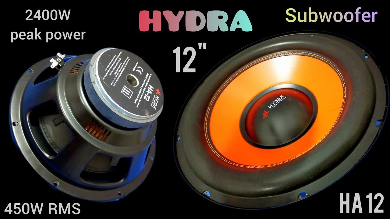 Hydra's HA-12 Subwoofer: The Next Level of Audio Unboxing