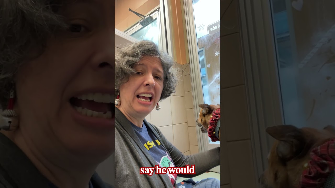 Познакомьтесь с Кэшем | Приют для пожилых собак в Ноксвилле | Готов к новому дому | Зоопарк Young...