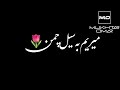 خودم قمندان شوم بچه ره عسکر کنم خودم قمندان شوم بچه ره عسکر کنم