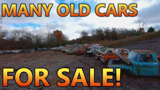 TONS of Old Cars FOR SALE! All Saved From The Crusher! (CRUSHED OUT Junkyard Rescued Cars)