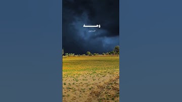 #سورة_الرحمن || كل من عليها فان ويبقى وجه ربك ذو الجلال والإكرام || #المصحف #القرآن_الكريم