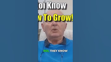 Koi Growth Secrets Nobody Told You!