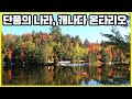 단풍의 나라에서 가을을 만끽하다. 캐나다 온타리오 (KBS_2019.11.23 방송)