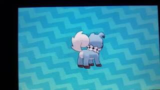 Shiny Rockruff Hatches Egg 469 Masuda Method + Shiny Charm 10-15-19