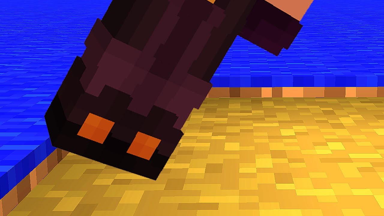 EU NÃO POSSO TOCAR NO AZUL