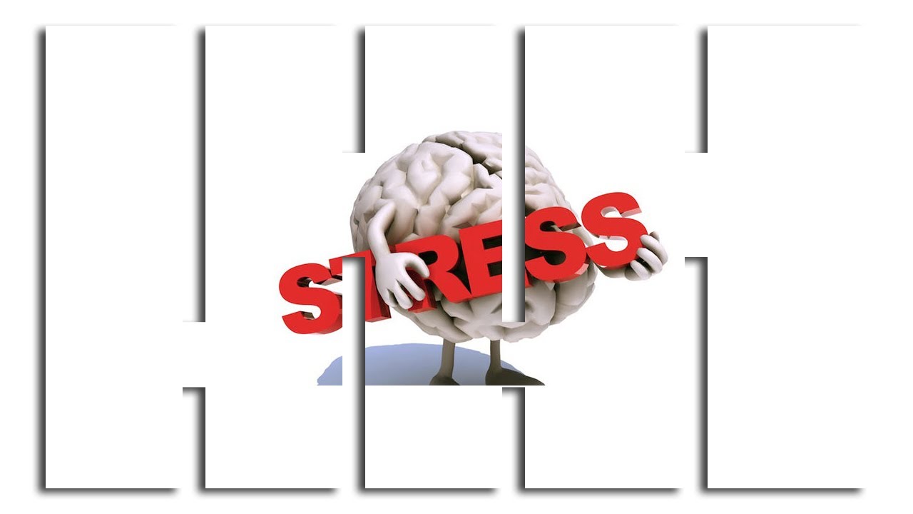 mental health hotline GIOVANNI BIGGIO Stress e sviluppo del cervello