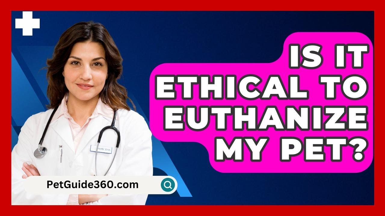 Is It Ethical To Euthanize My Pet? - PetGuide360.com